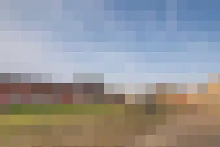 Jaltadaheerd 165 Groningen thumbnail 6