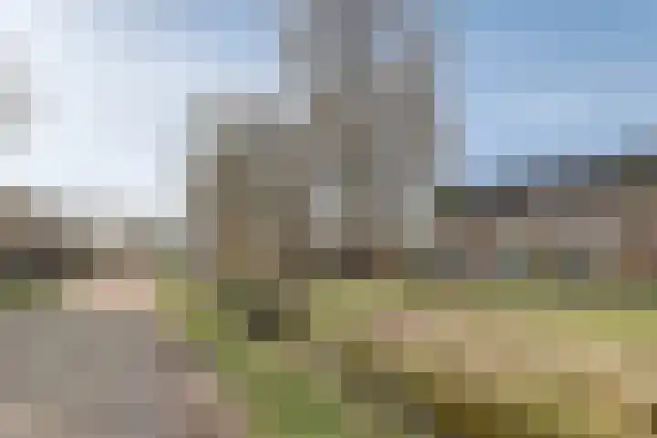 Jaltadaheerd 165 Groningen thumbnail 8