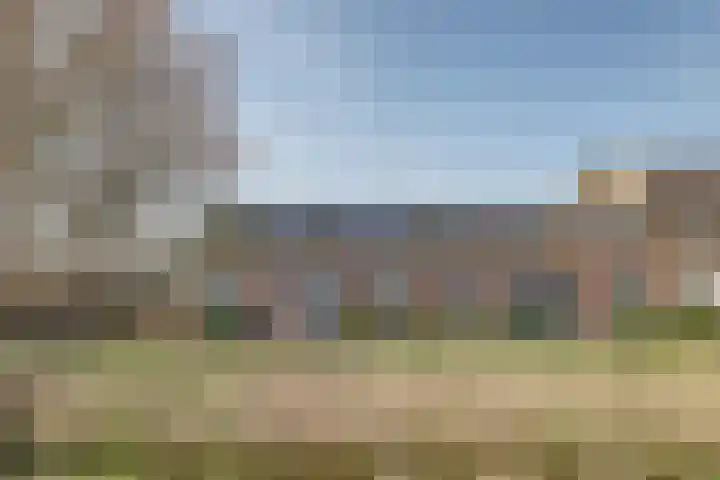 Jaltadaheerd 165 Groningen thumbnail 9