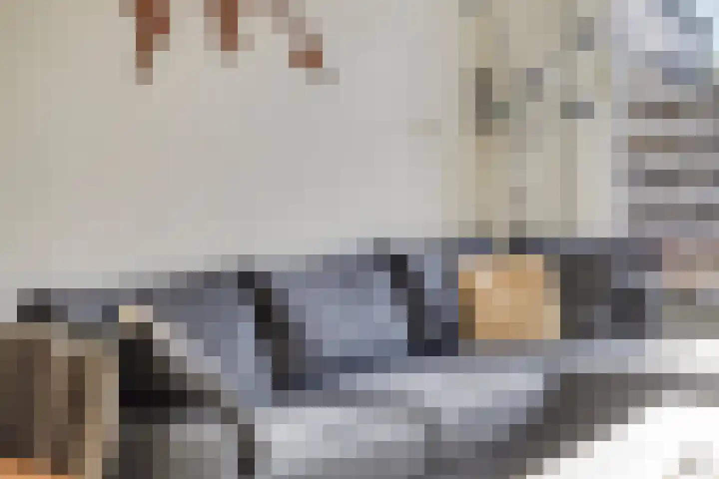 Jaltadaheerd 166 Groningen thumbnail 11