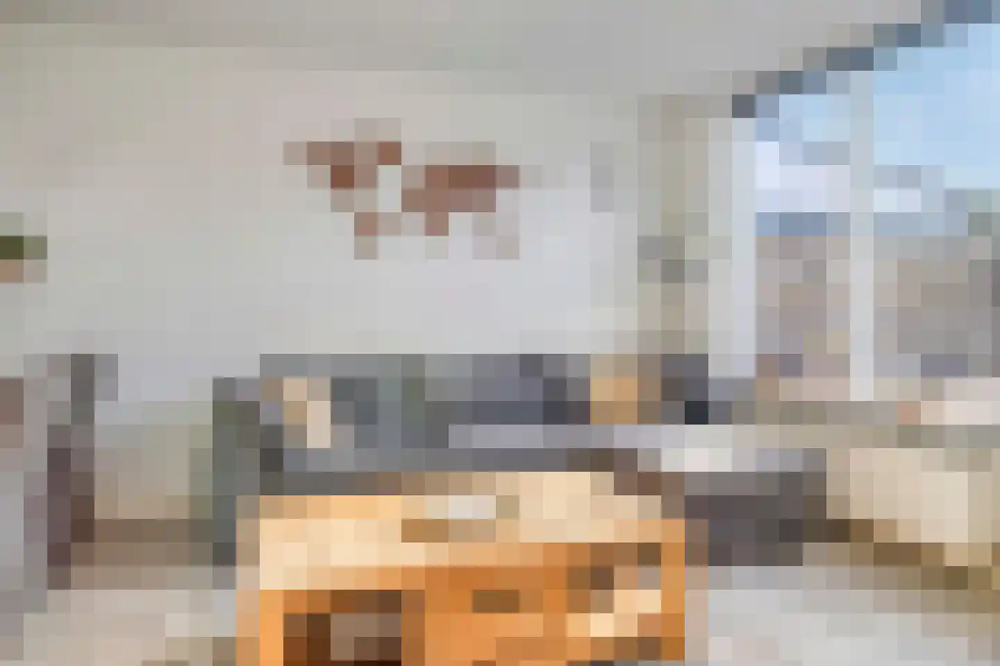 Jaltadaheerd 166 Groningen thumbnail 13