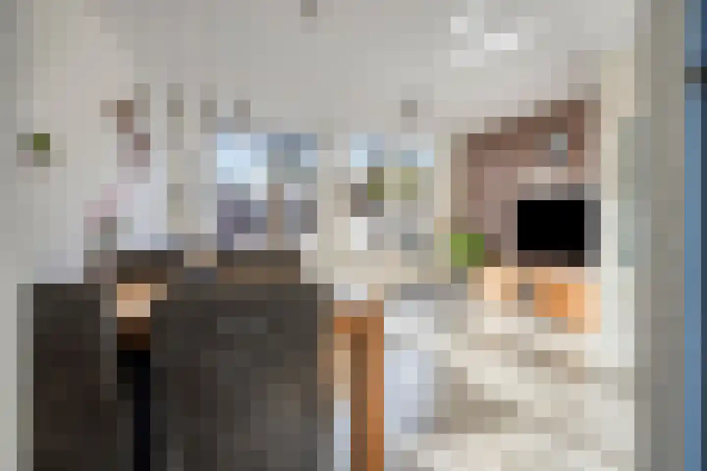 Jaltadaheerd 166 Groningen thumbnail 20