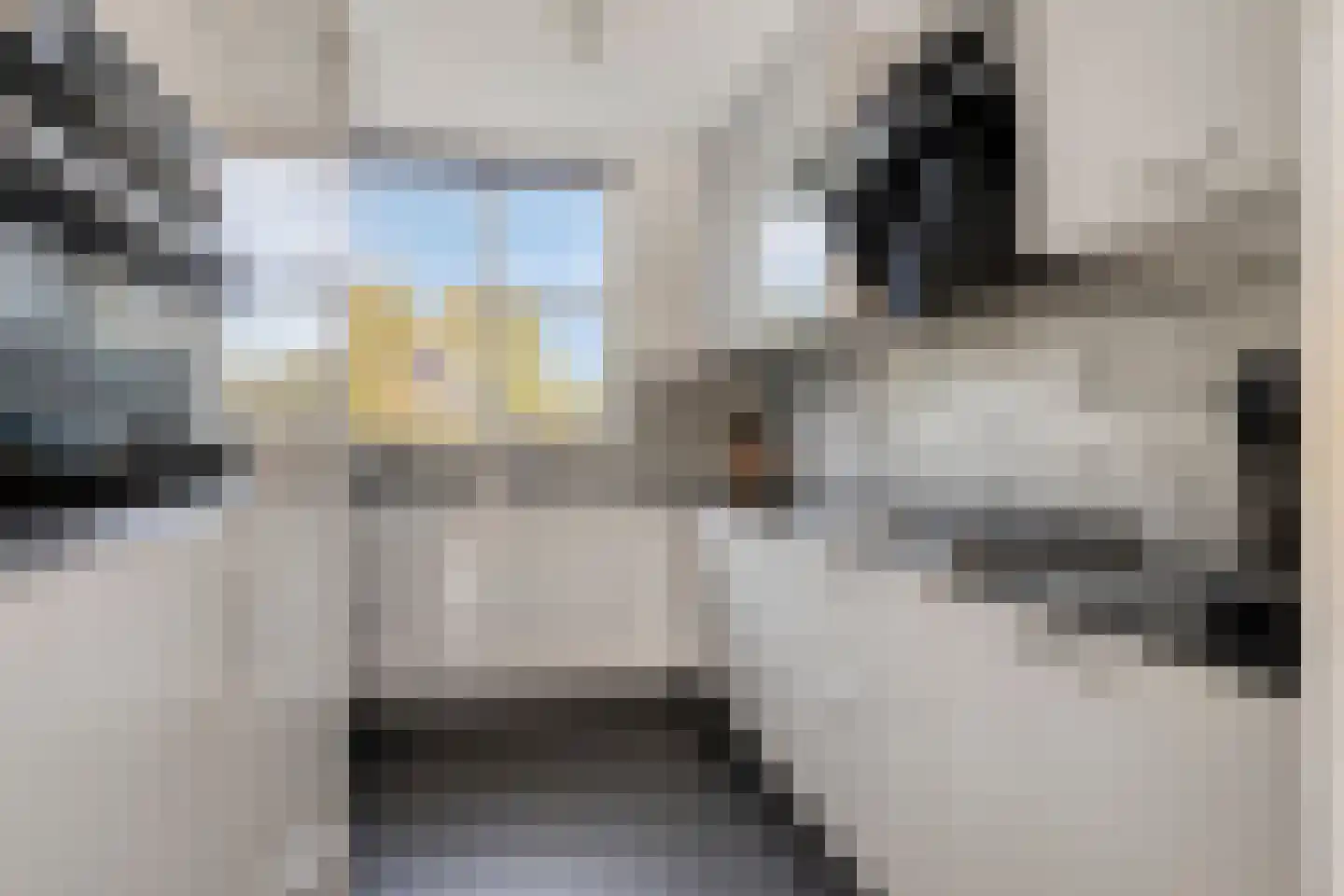Jaltadaheerd 166 Groningen thumbnail 21