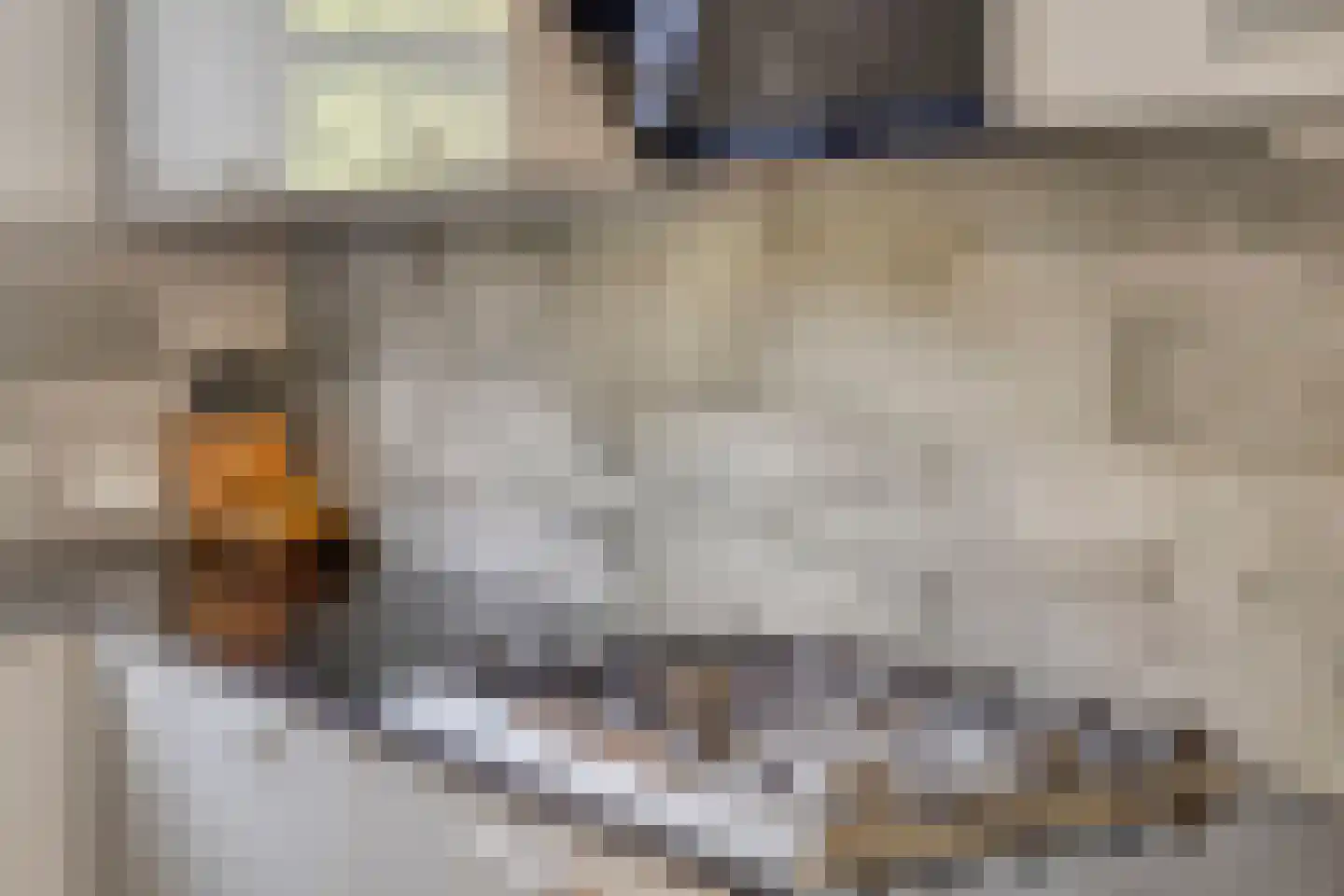 Jaltadaheerd 166 Groningen thumbnail 22