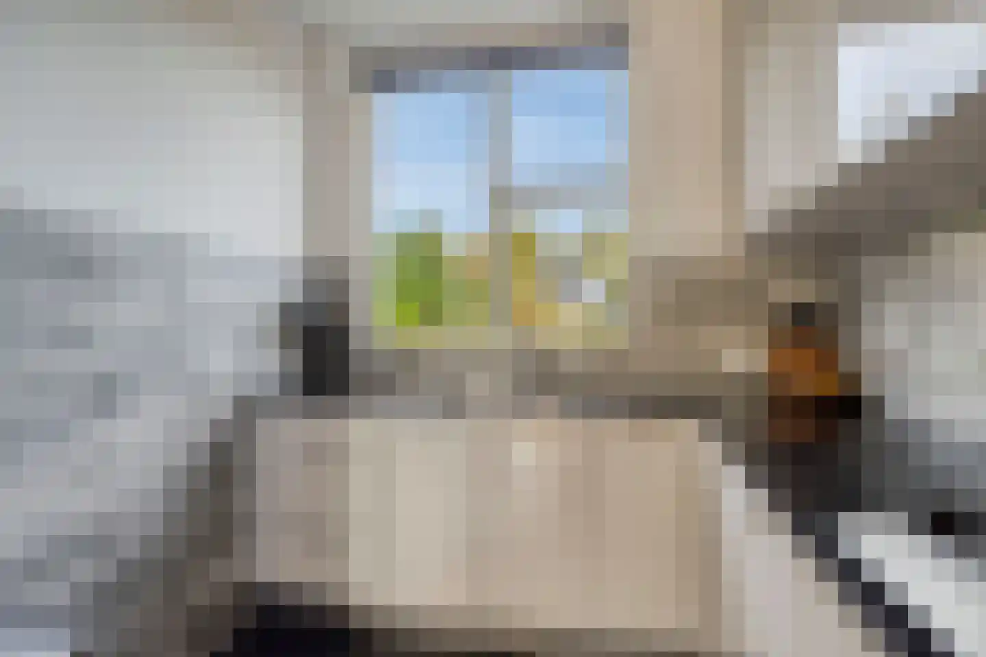 Jaltadaheerd 166 Groningen thumbnail 25