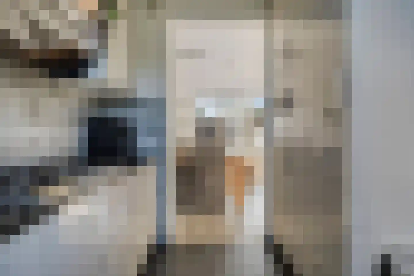 Jaltadaheerd 166 Groningen thumbnail 26