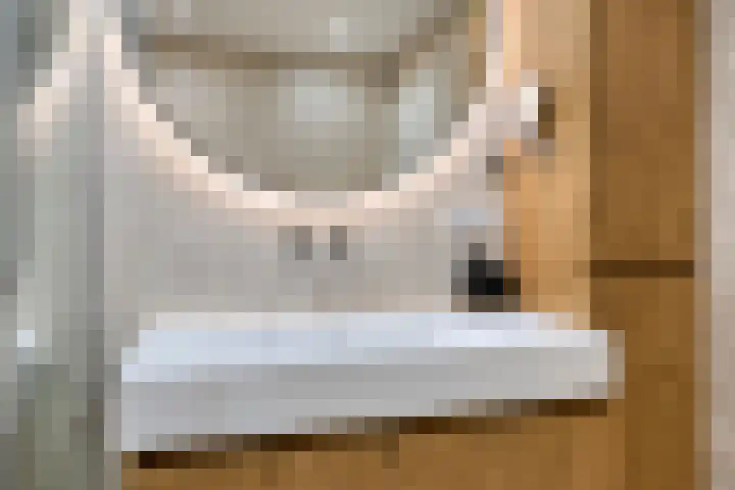 Jaltadaheerd 166 Groningen thumbnail 34