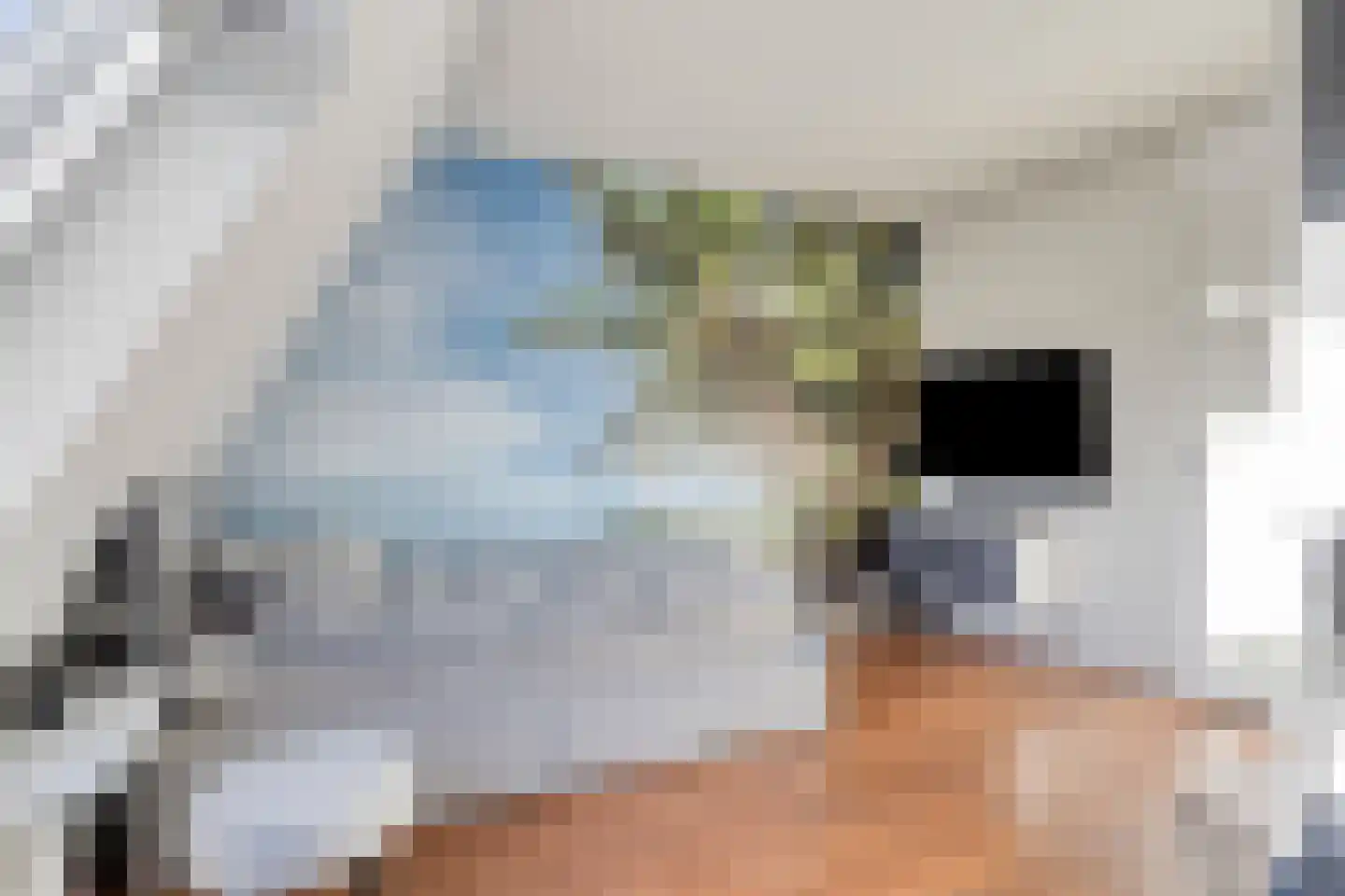 Jaltadaheerd 166 Groningen thumbnail 37