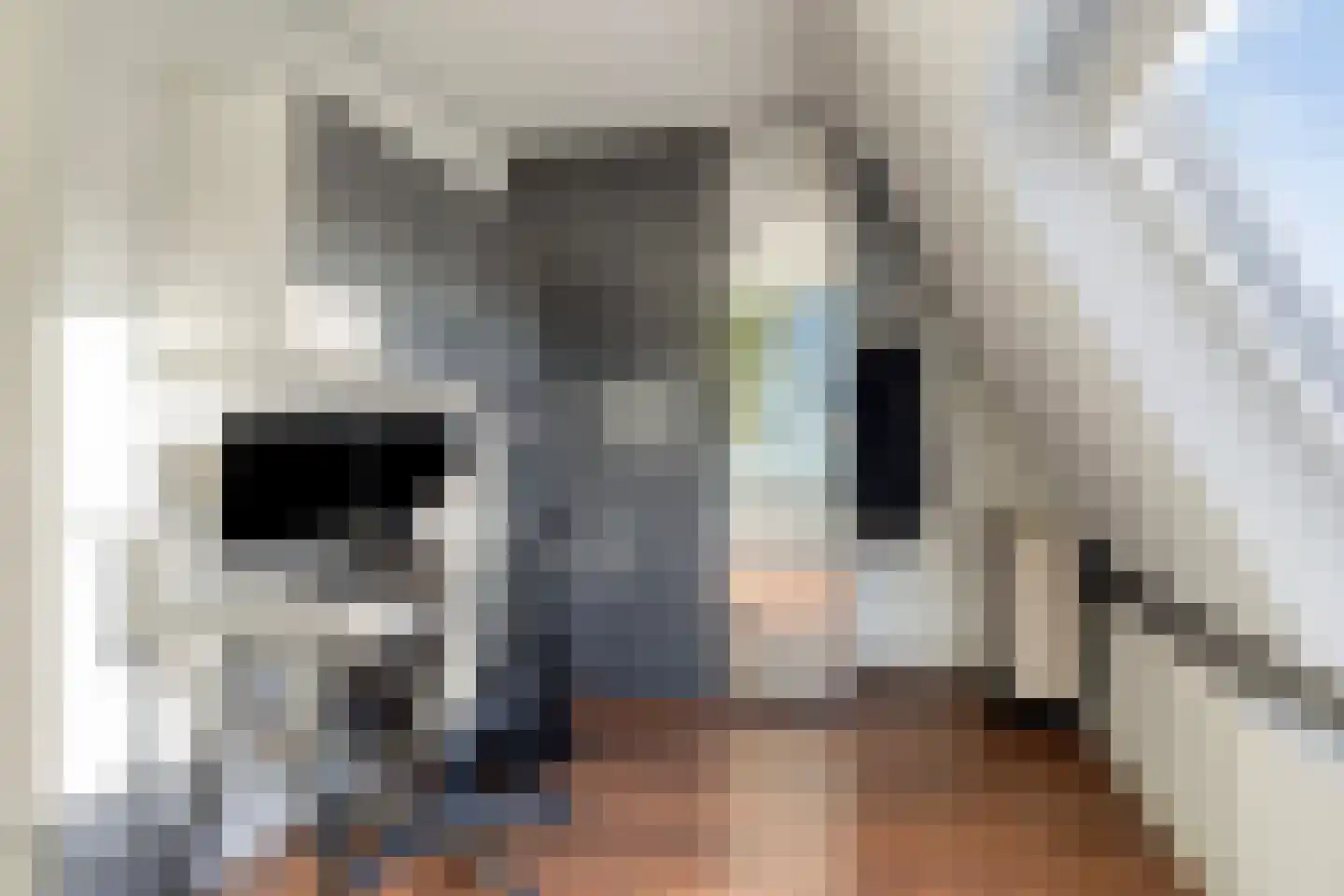Jaltadaheerd 166 Groningen thumbnail 38
