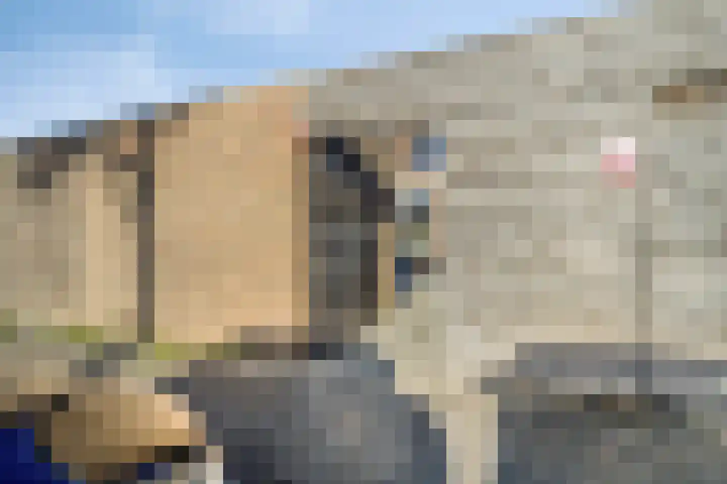 Jaltadaheerd 166 Groningen thumbnail 45