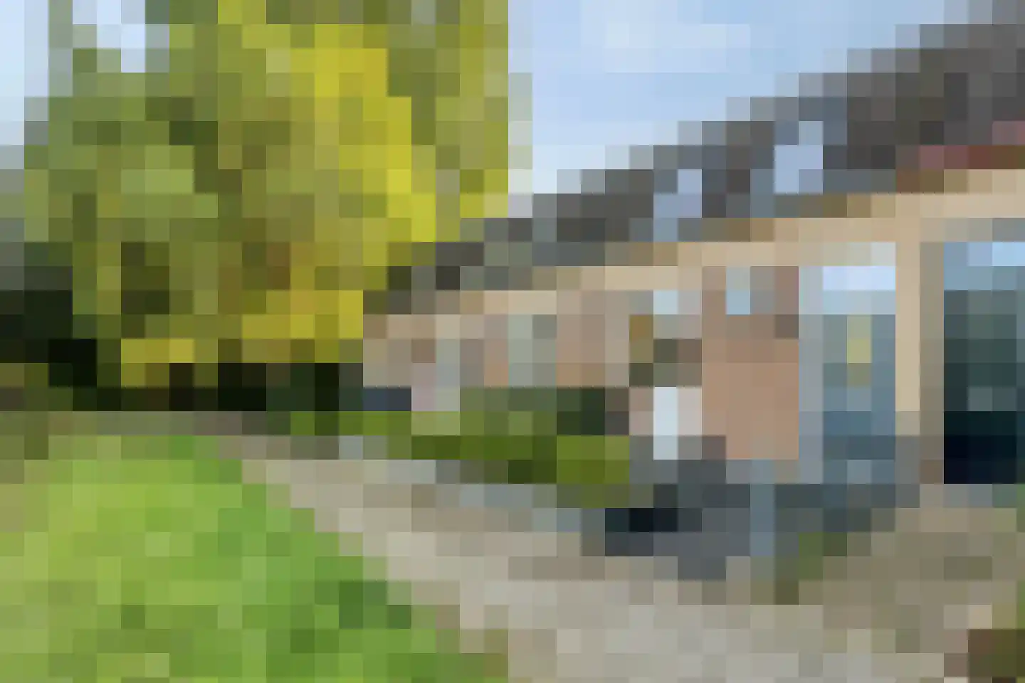 Jaltadaheerd 166 Groningen thumbnail 47
