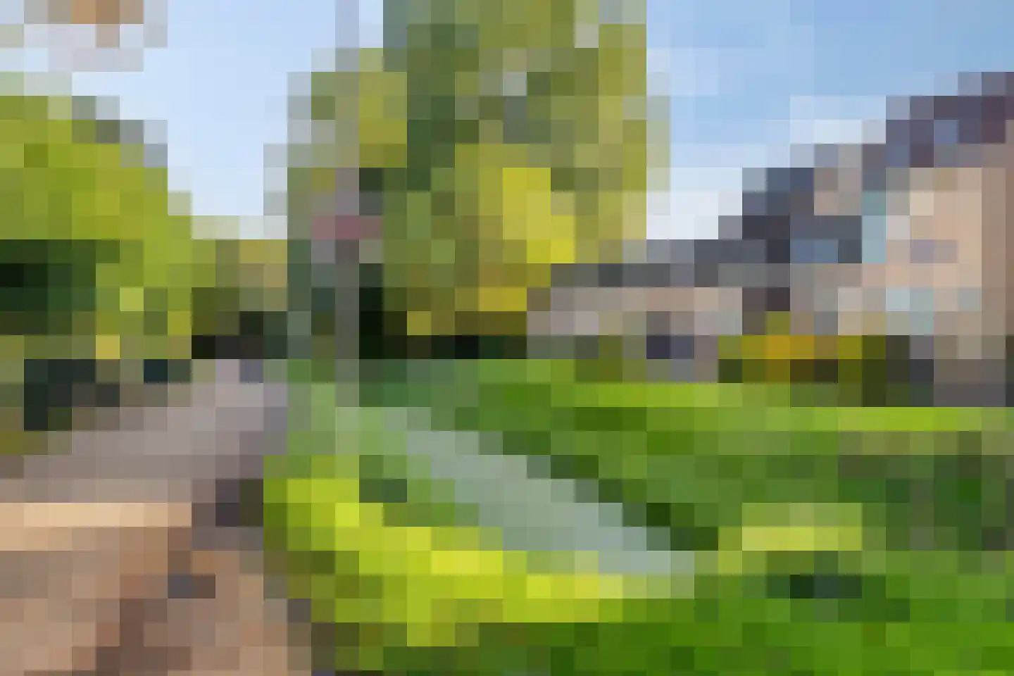 Jaltadaheerd 166 Groningen thumbnail 54