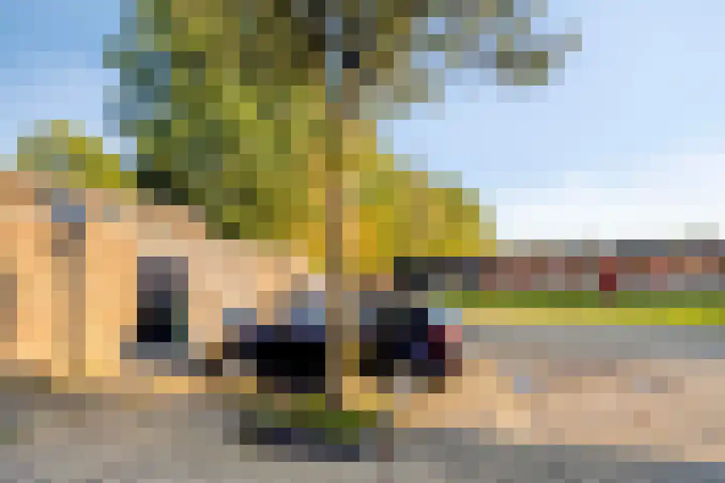 Jaltadaheerd 166 Groningen thumbnail 58