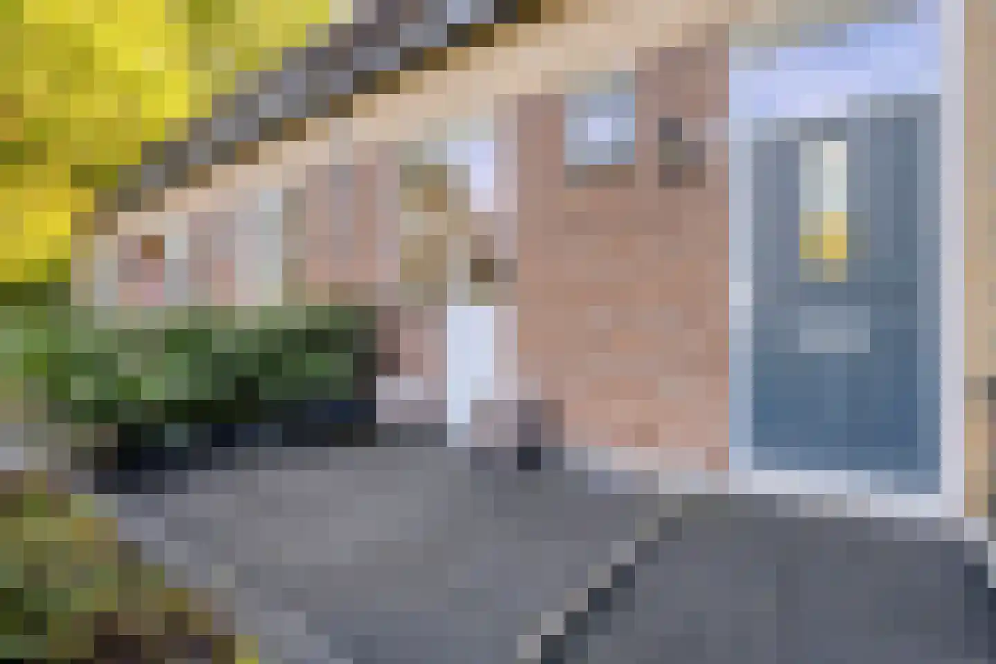 Jaltadaheerd 166 Groningen thumbnail 7