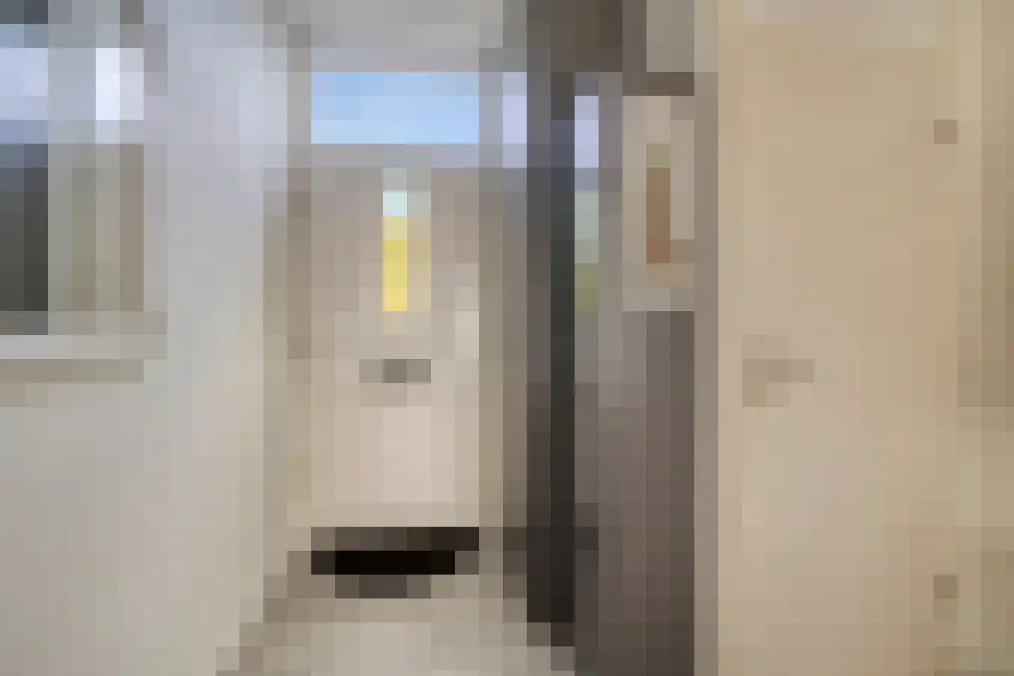 Jaltadaheerd 166 Groningen thumbnail 8