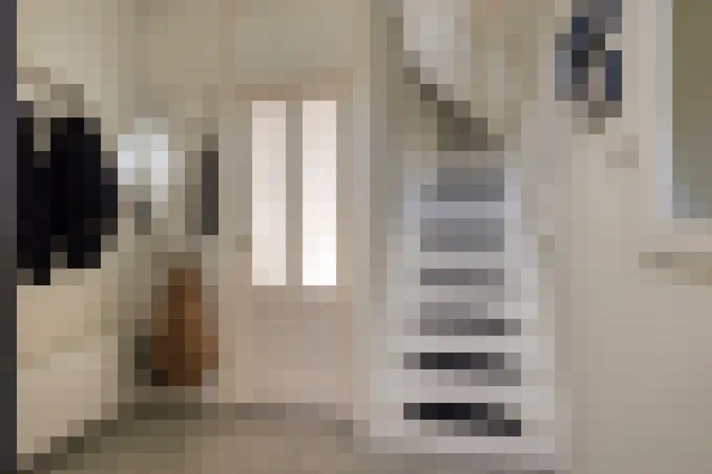 Jaltadaheerd 166 Groningen thumbnail 9