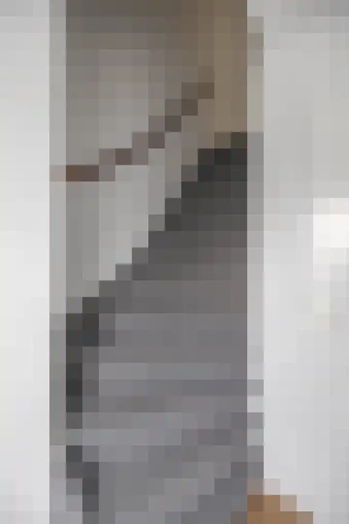 Jaltadaheerd 197 Groningen thumbnail 12