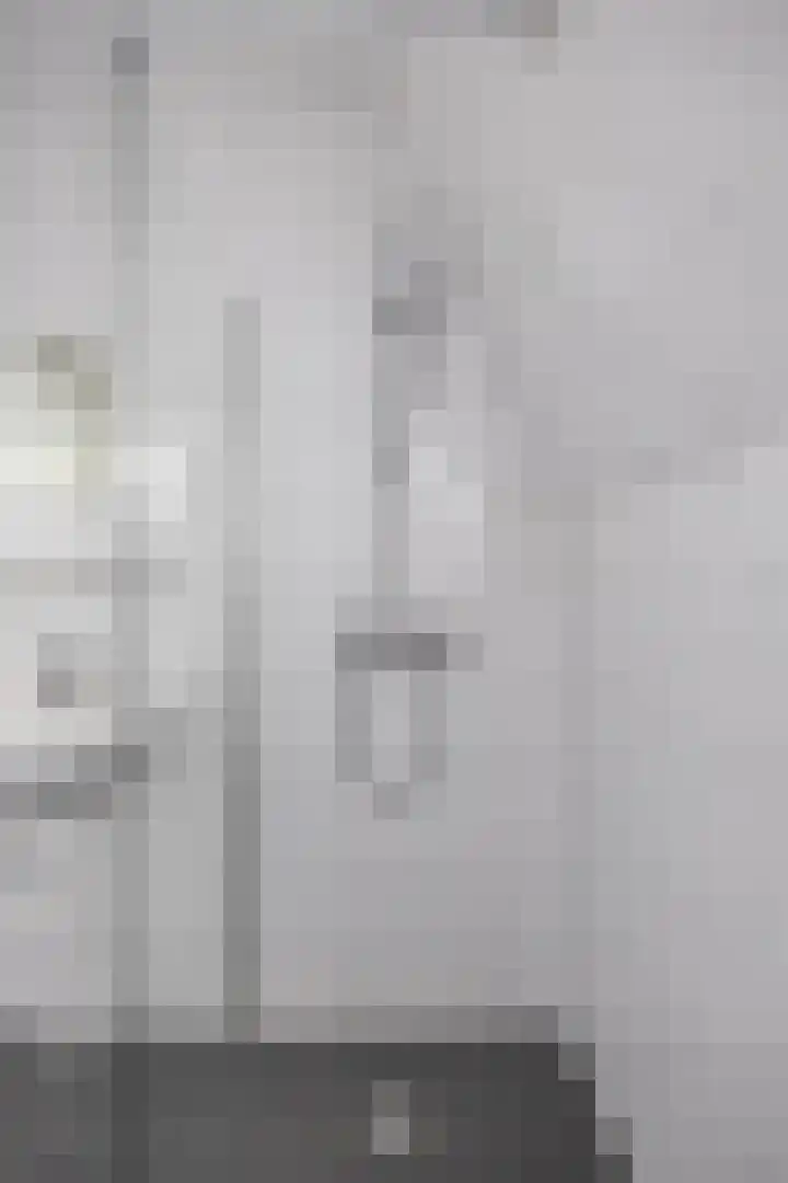 Jaltadaheerd 197 Groningen thumbnail 25