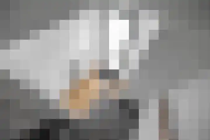 Jaltadaheerd 197 Groningen thumbnail 32