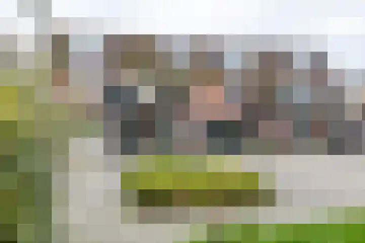Jaltadaheerd 197 Groningen thumbnail 36