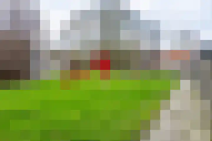 Jaltadaheerd 197 Groningen thumbnail 38