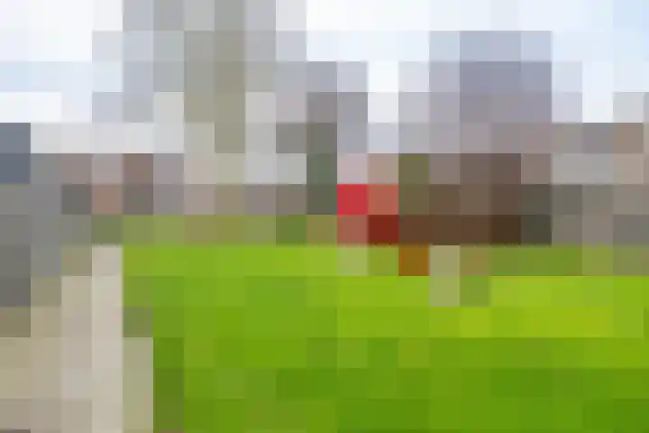 Jaltadaheerd 197 Groningen thumbnail 39