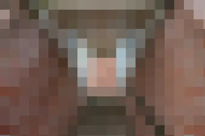 Jaltadaheerd 197 Groningen thumbnail 8