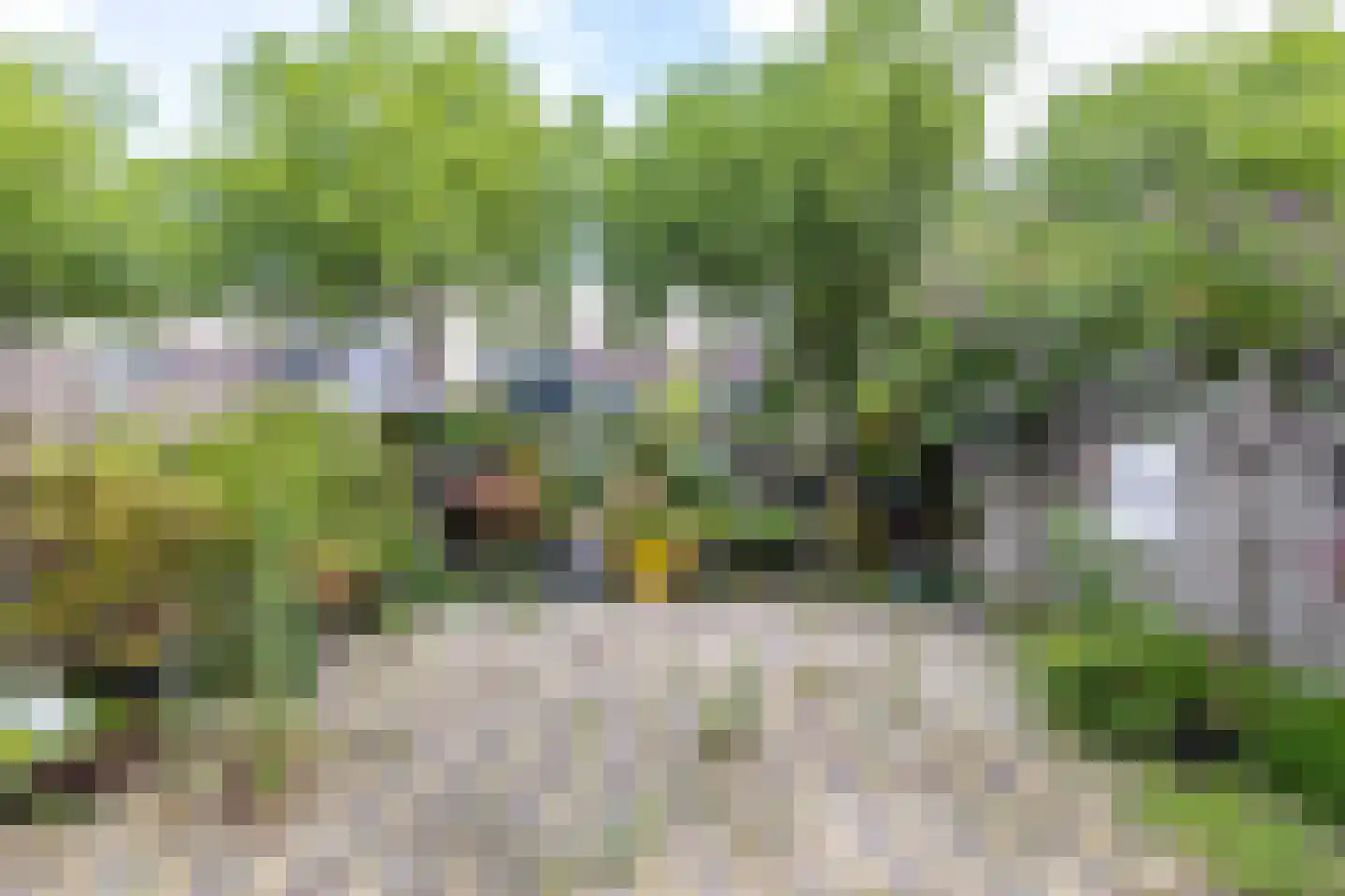 Jaltadaheerd 204 Groningen thumbnail 16