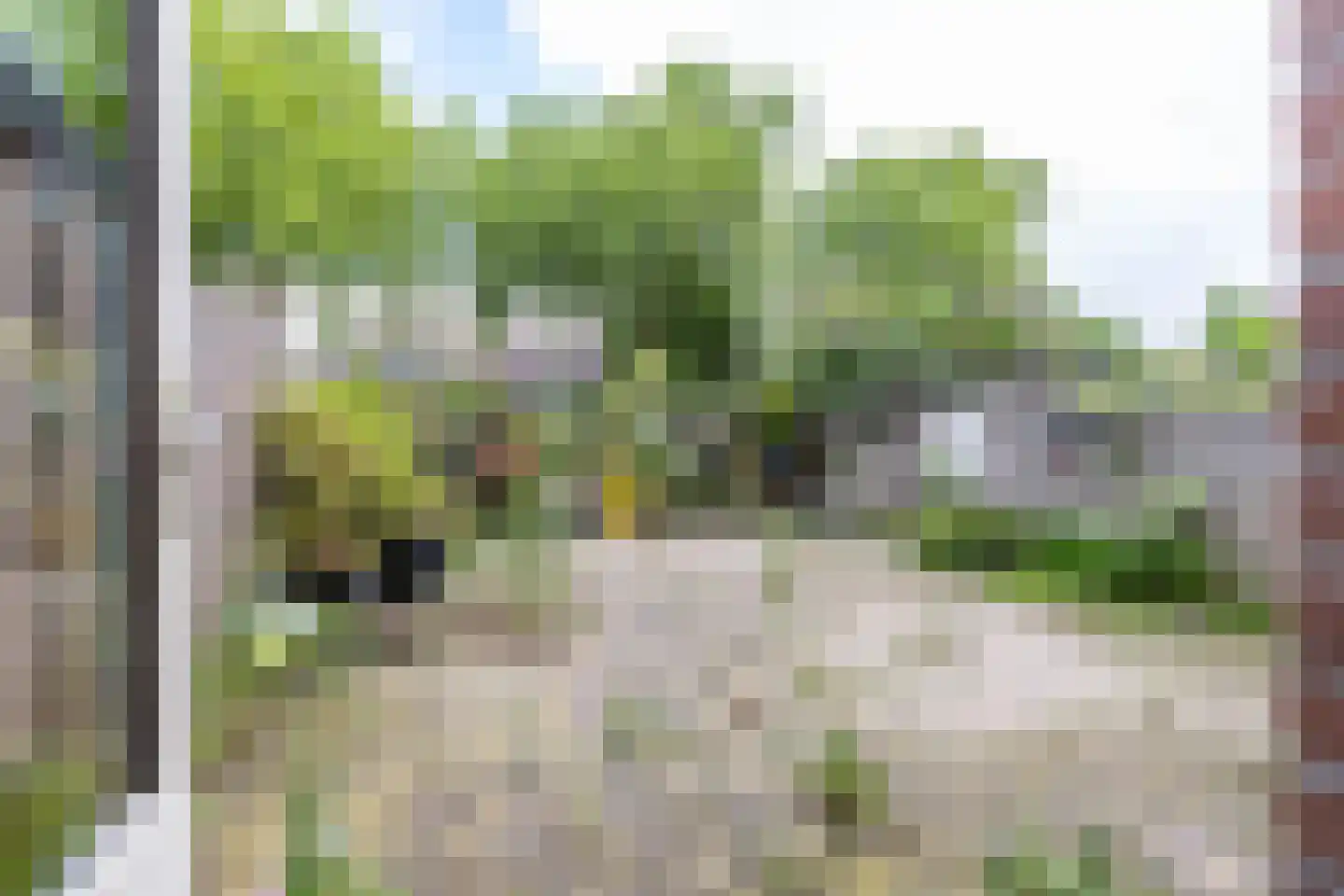 Jaltadaheerd 204 Groningen thumbnail 4