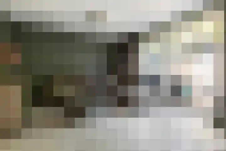 Jaltadaheerd 207 Groningen thumbnail 11