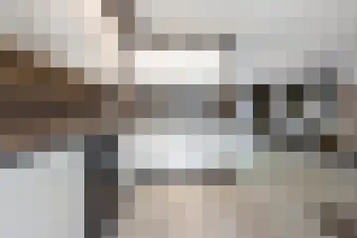 Jaltadaheerd 207 Groningen thumbnail 16