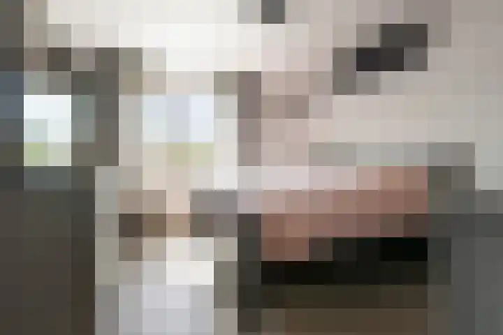 Jaltadaheerd 207 Groningen thumbnail 22