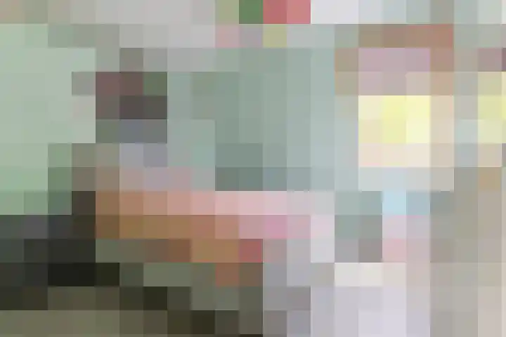 Jaltadaheerd 207 Groningen thumbnail 23