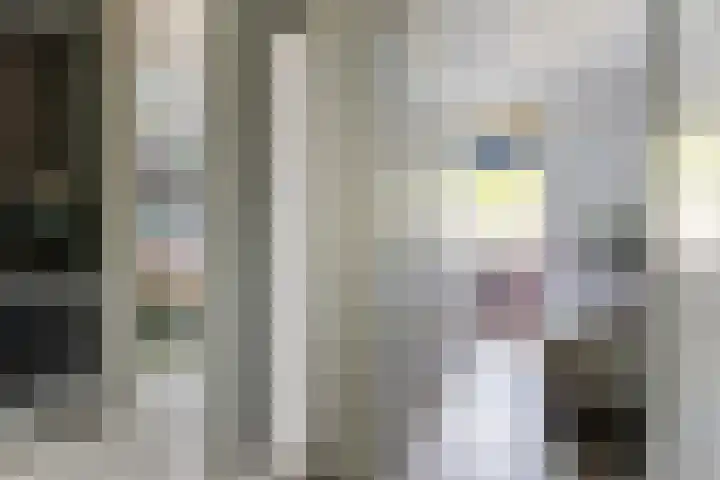 Jaltadaheerd 207 Groningen thumbnail 24