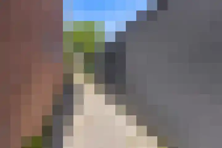 Jaltadaheerd 207 Groningen thumbnail 35