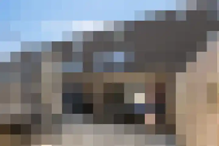 Jaltadaheerd 207 Groningen thumbnail 6