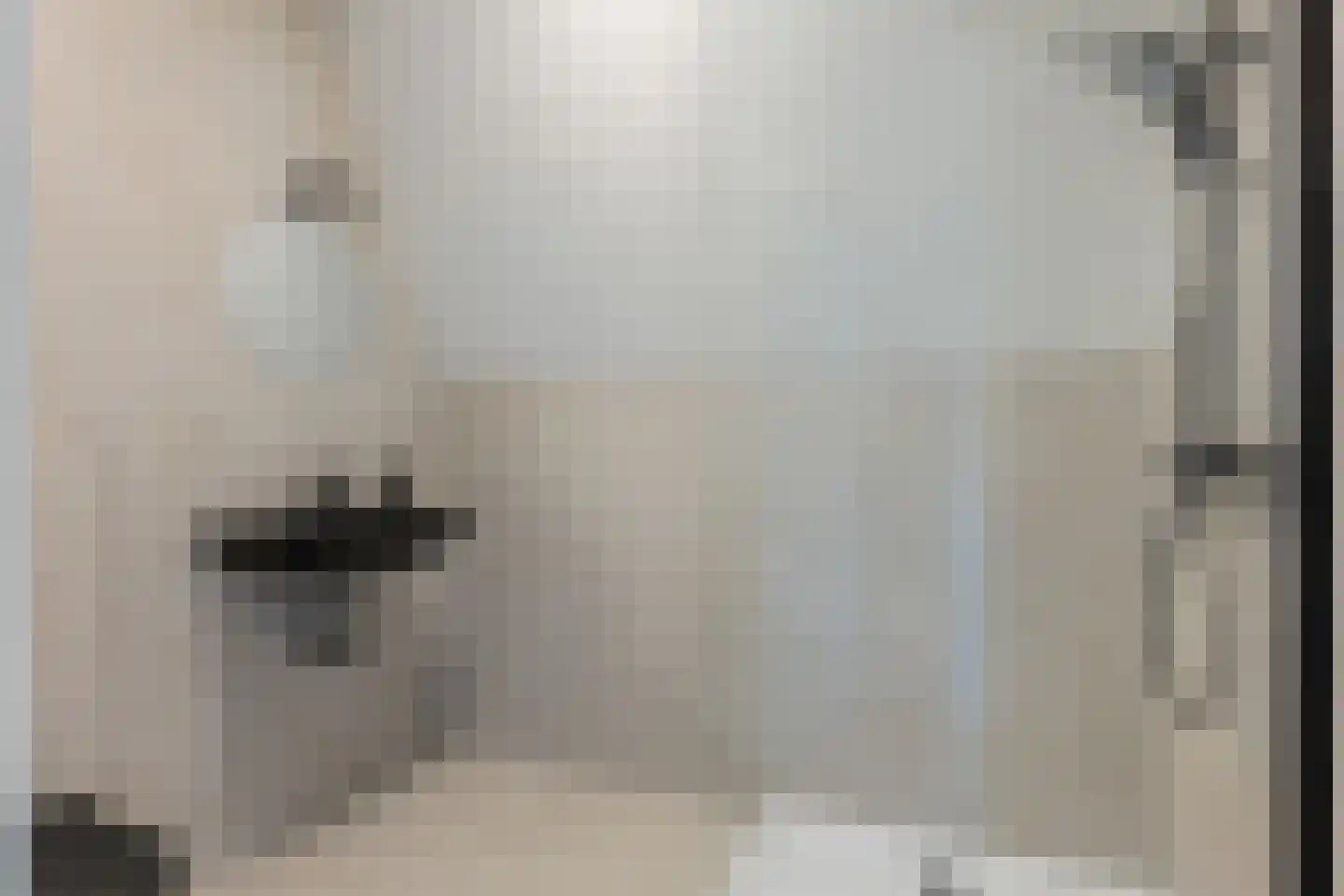 Jaltadaheerd 210 Groningen thumbnail 16