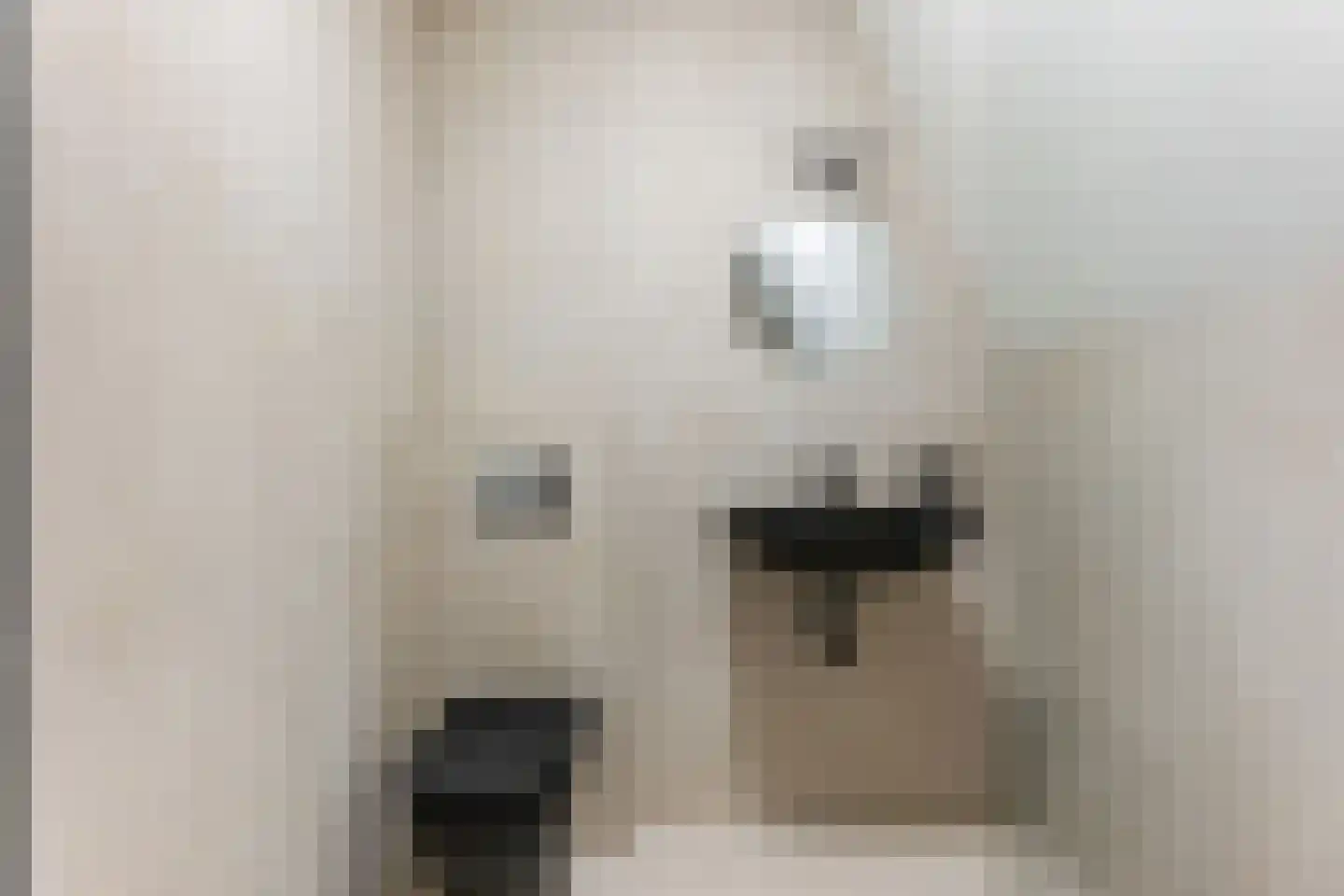 Jaltadaheerd 210 Groningen thumbnail 17