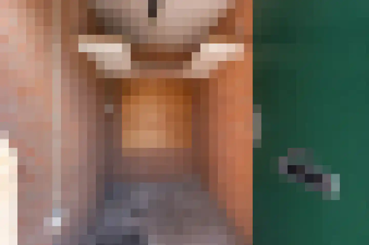 Jaltadaheerd 210 Groningen thumbnail 21