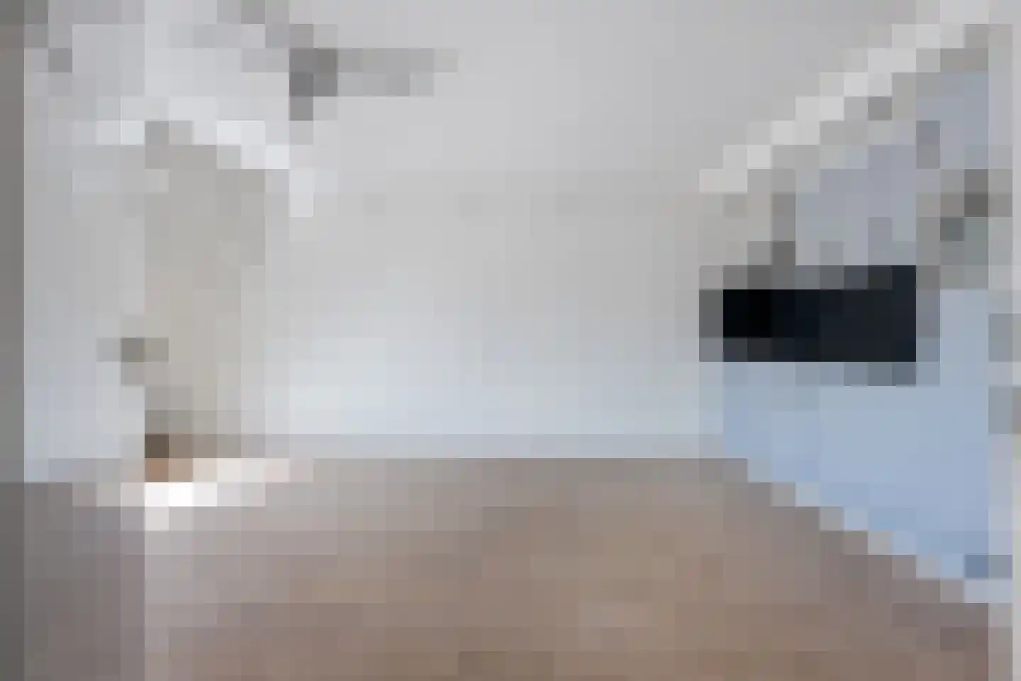Jaltadaheerd 210 Groningen thumbnail 7