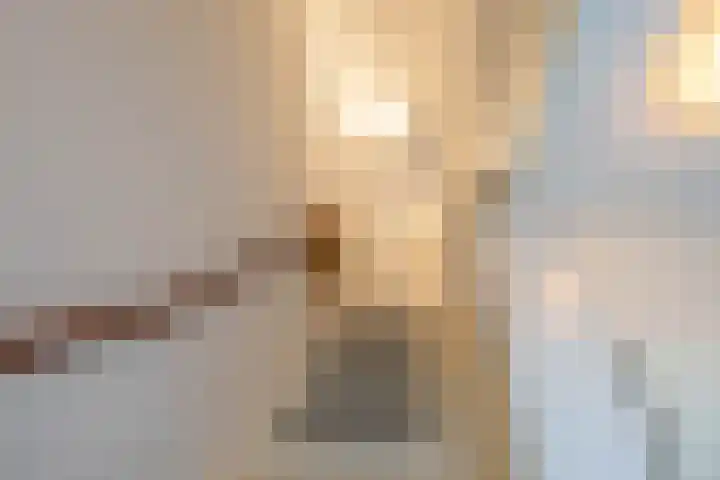 Jaltadaheerd 225 Groningen thumbnail 11