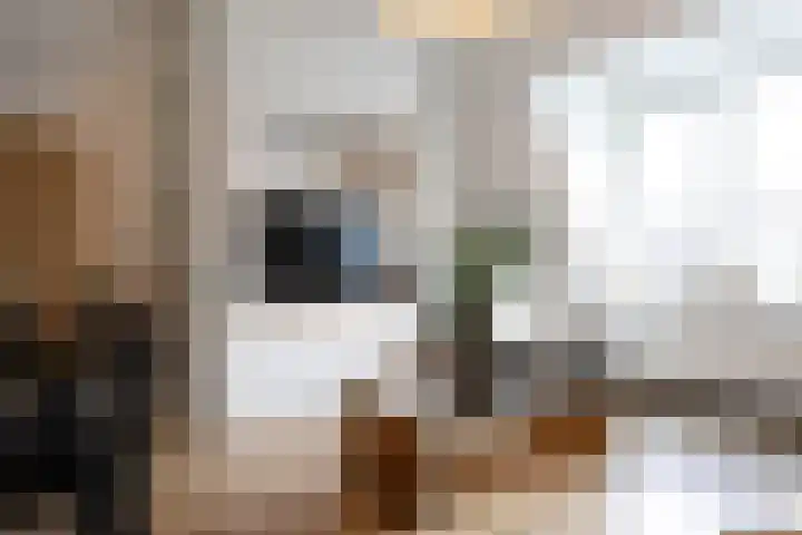 Jaltadaheerd 225 Groningen thumbnail 16