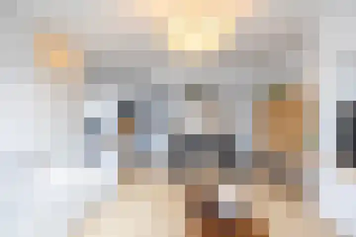 Jaltadaheerd 225 Groningen thumbnail 18