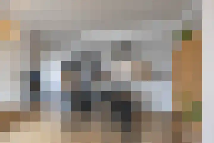 Jaltadaheerd 225 Groningen thumbnail 19