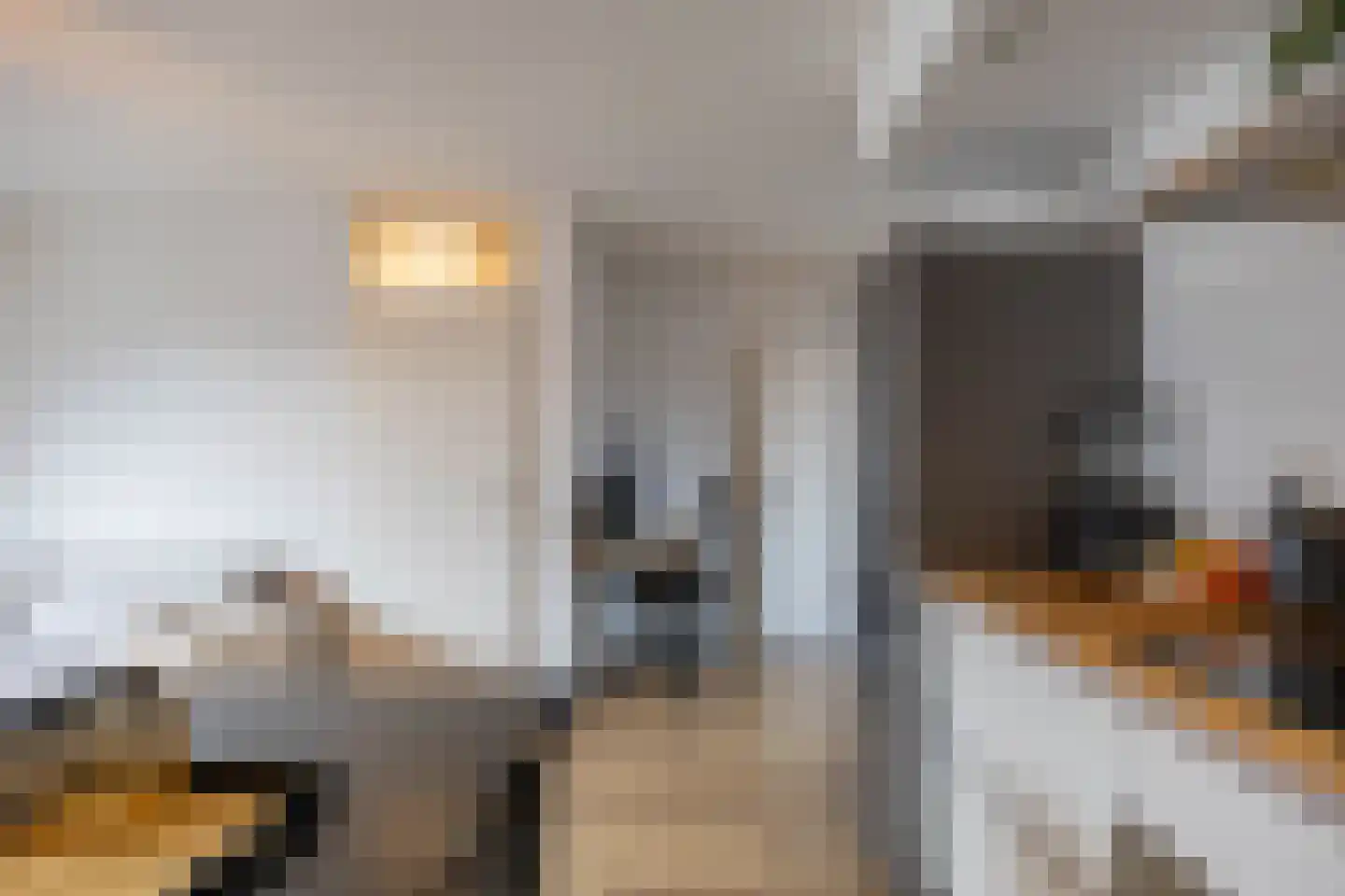 Jaltadaheerd 225 Groningen thumbnail 23