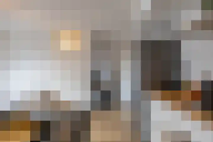 Jaltadaheerd 225 Groningen thumbnail 23