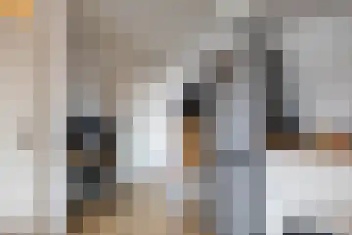 Jaltadaheerd 225 Groningen thumbnail 24