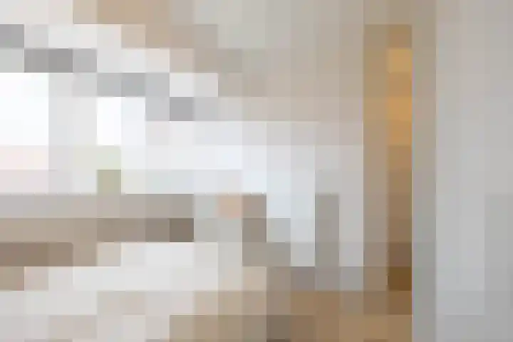 Jaltadaheerd 225 Groningen thumbnail 26