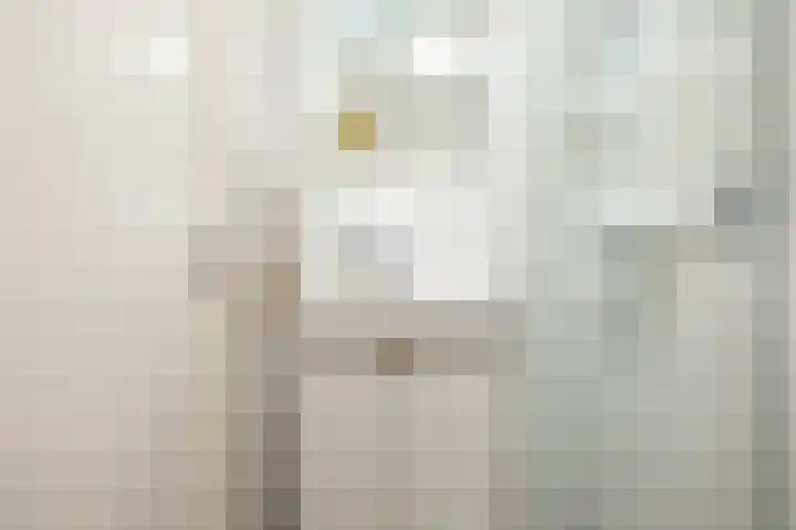 Jaltadaheerd 225 Groningen thumbnail 29