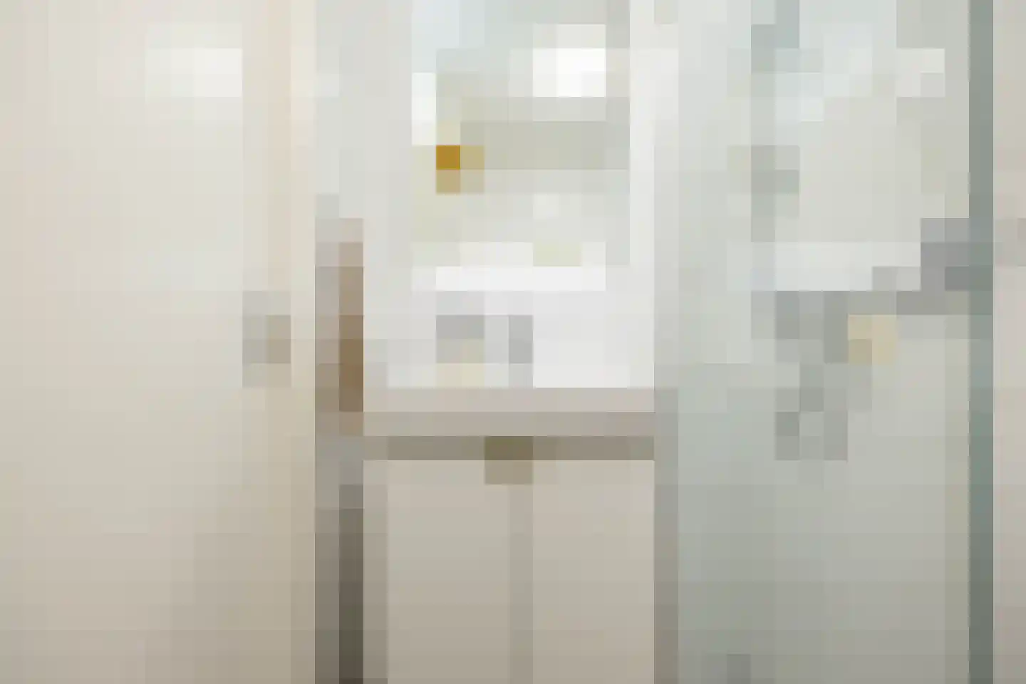 Jaltadaheerd 225 Groningen thumbnail 29
